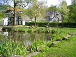 Das Bild zeigt die Fachwerkgebäude der Alten Dombach vom Teich aus gesehen.